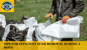 Tips for efficient junk removal