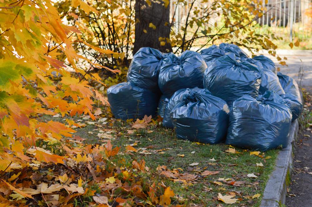 Benefits of Professional Junk Removal