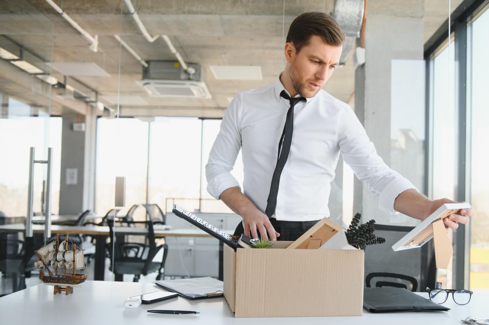 Benefits of Professional Junk Removal